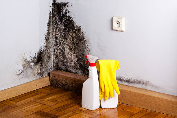 Best Residential Mold Inspection & Testing  in Harrisville, PA